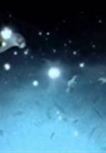 Björk: Desired Constellation