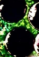 Number 2: Message from the Sun