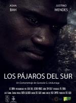 Los pájaros del sur
