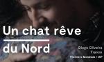 Un chat rêve du Nord 