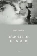 Demolición de un muro