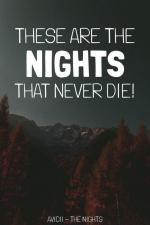 Avicii: The Nights