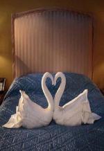 Swan Song