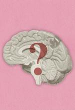 What do all languages have in common?