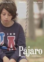 Pájaro